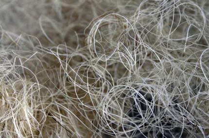 Symphony raw materials: Pure tail horsehair