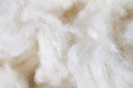 Symphony raw materials: Lamb's wool
