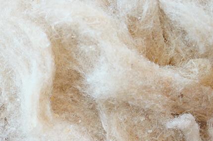 Cherubin Raw materials: Tussah Silk