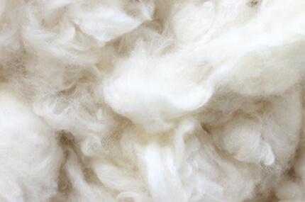 Rohmaterialien des Gentiane: Bio-Baumwolle
